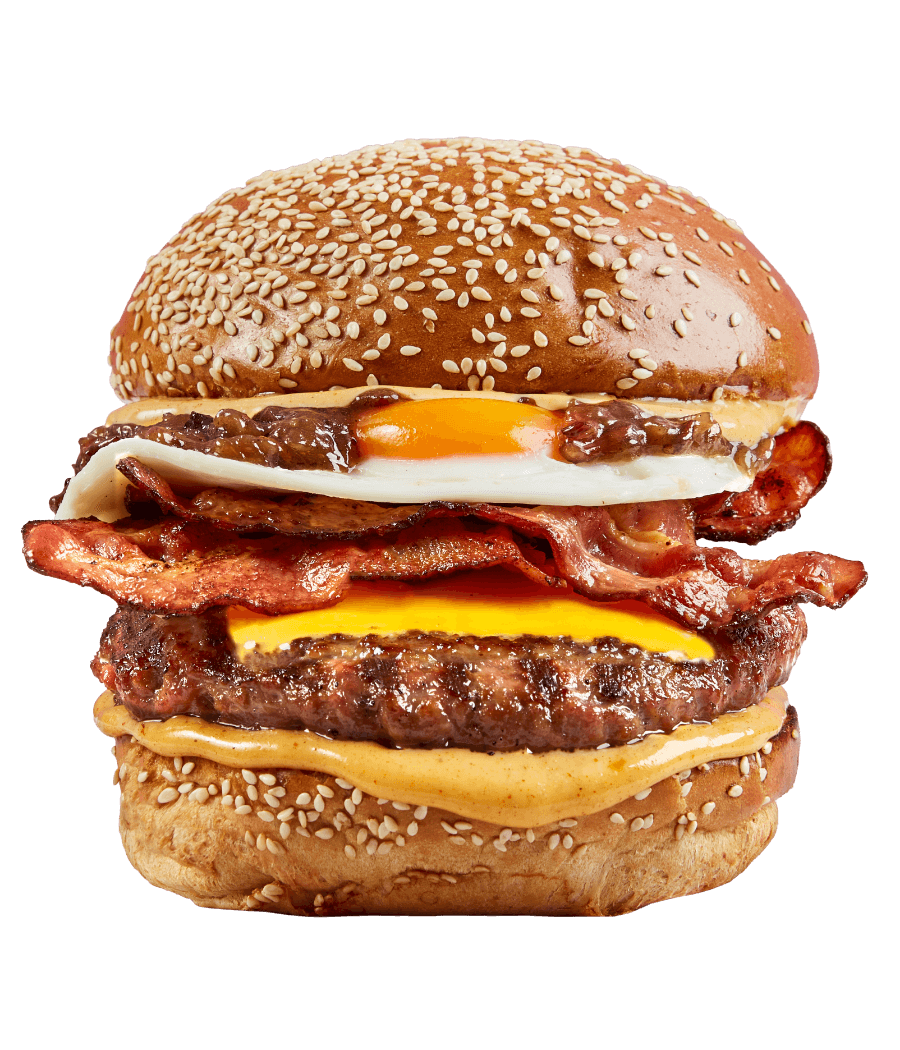 THE BACON OF THE BACON